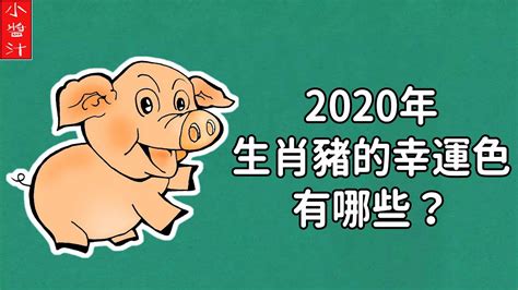 學店有哪些2023 2023年生肖豬
